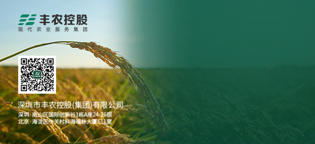 acdf2f0f8d34d4805df2d094b1402bf4 图片